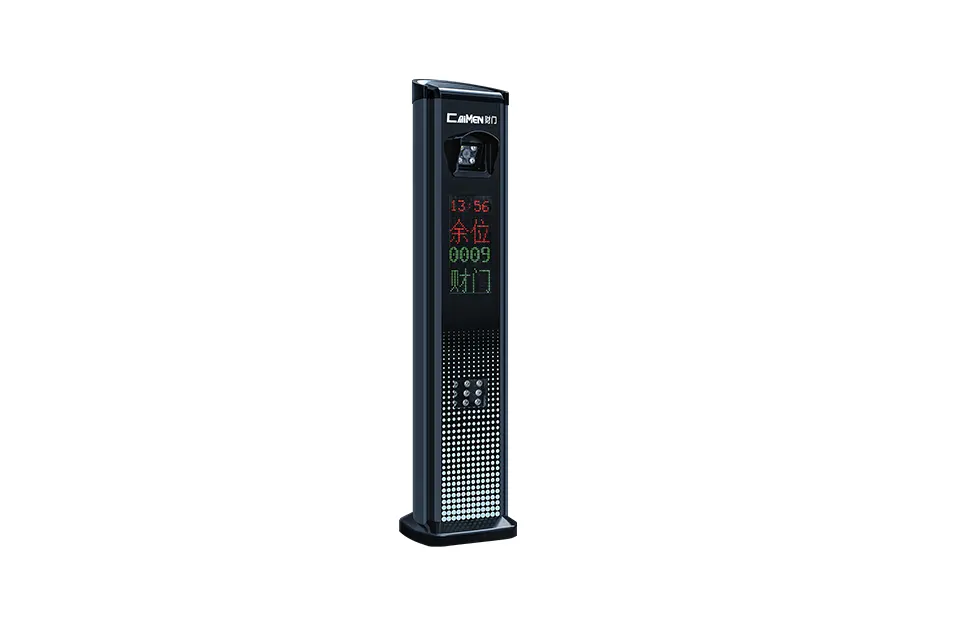 Parking Controller (Gray)