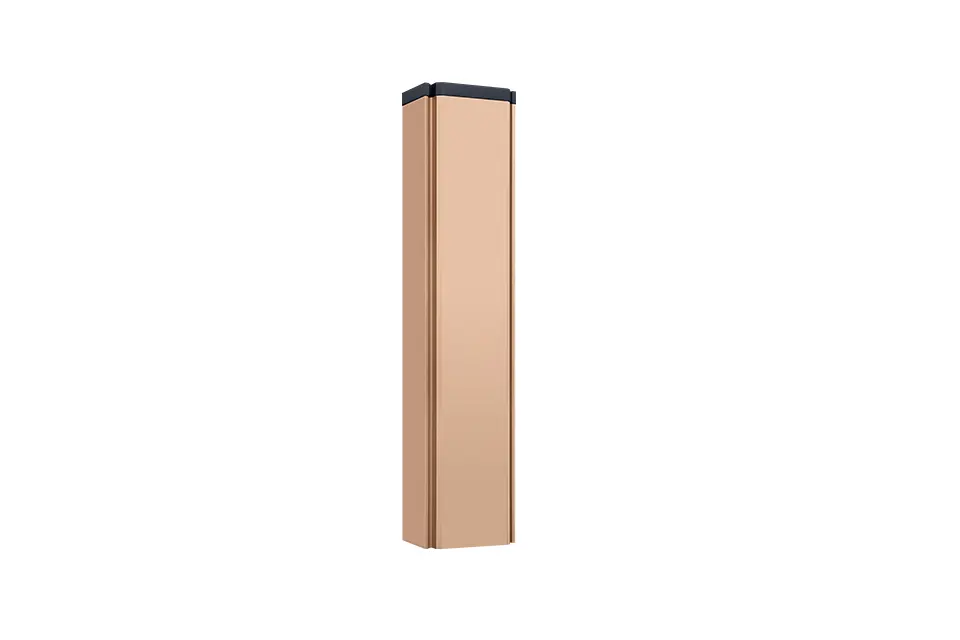 Parking Controller-002A(Champagne Gold) (back)