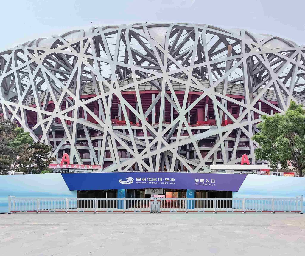 Bird's-Nest